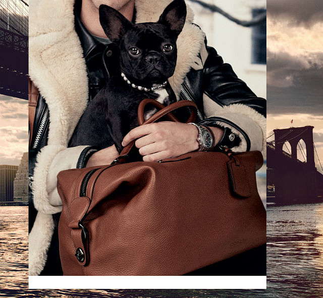 This super cute celeb dog is the new face of a major fashion brand 